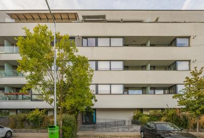Atria Urban Restort, 4 camere cu Gradina si loc de parcare - 15