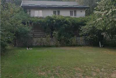 Casa de vacanta in Arges - 1