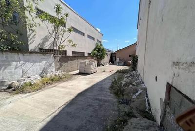 Casă cu 2 camere și teren 260 mp în zona Brestei lângă Mall Promenada Craiova - 4