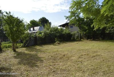 Suseni - Teren intravilan cu casa batraneasca, plan, suprafata 4700 mp - 5