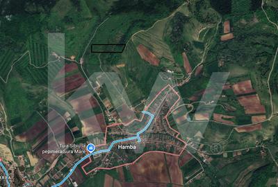 Teren agricol extravilan de 38400 mp, în Hamba