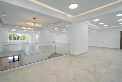 Spatiu Comercial Modern | Terasa | Sos. Colentina - 6