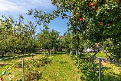 Casă/Vila tip conac, cu anexe si livada de vânzare Valenii de Munte - 15