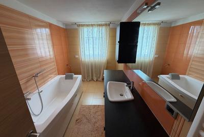 Casa cu teren 10.000mp si foarte multe posibilitati - 13