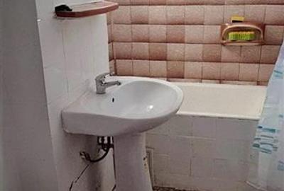 Vanzare apartament 2 camere Teiul Doamnei - 6