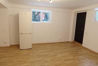 7 cam pretabil birouri, demisol vila D Cantemir-Metrou Tineretului 600 m - 9