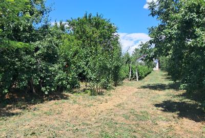 Vânzare Casă Buzău Cuculeasa Ziduri - 16