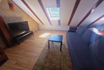 Inchiriez casa Bunloc Sacele-Timisul de Jos cuacces auto pet friendly - 8