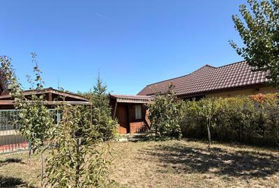 VANZARE CASA INDIVIDUALA COMPLEX TERRA/110MP UTILI/TEREN 550MP/ BALOTESTI - 37