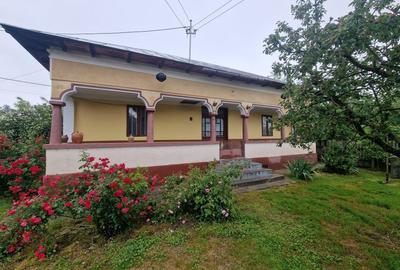 Casă individuală cu 3 camere în Lunca Corbului