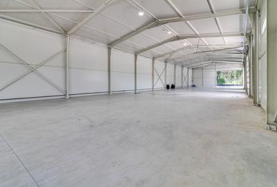 Reprezentanta PREMIUM| Hala Showroom 988mp, locatie exceptionala! - 10