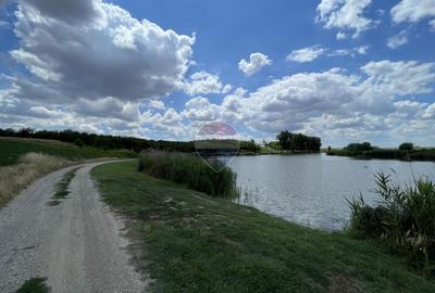 Teren 4.350 mp langa Balta Pasarea, Frumusani