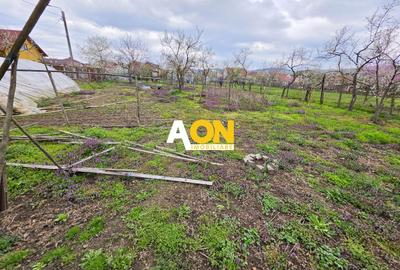 Teren Construcții intravilan de 1605 mp, în Bărăbanț