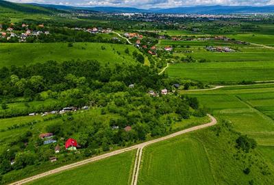 Teren Construcții extravilan de 4500 mp, în Sâncraiu