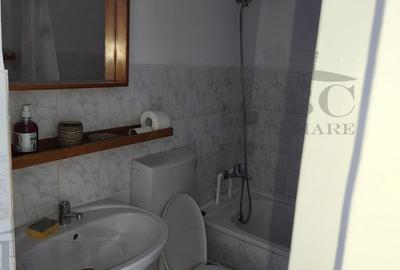 Apartament 1 camera decomandat prima inchiriere in zona Parcului Armatura - 9