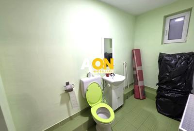 Casa 4 camere + anexe, 636 mp teren, la asfalt, Vințu de Jos - 9