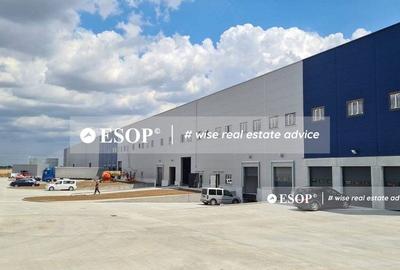 Spațiu industrial, 7000 mp în Theodor Pallady