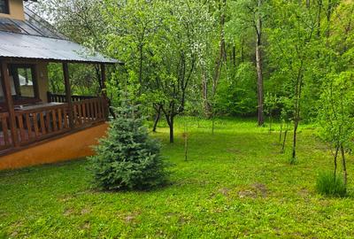 Casă de vancata lângă râu- Provița de Jos - 15