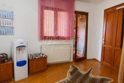 Pieptanari 100. Casele din umbra teilor. Rezidential sau comercial? - 38