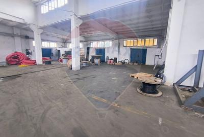 Hala de vanzare Drumul intre Tarlale - Pallady - 10
