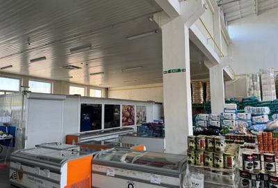 Spatiu Comercial 1000 m2 ,Str Zizinului - 3