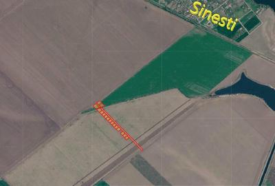 Teren agricol intravilan de 9000 mp, în Sinești