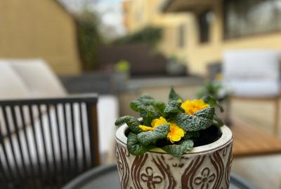 HERASTRAU LE CLUB DE INCHIRIAT APARTAMENT 3 CAMERE LUX LOC PARCARE - 22