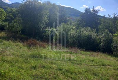 Teren în Fântânele – 3.673 mp, pârâu si cadru natural  deosebit - 4
