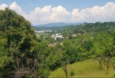 VANZARE TEREN  SAT DOFTANA COM.TELEGA - 4