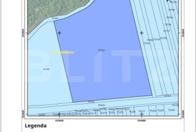 Teren Construcții extravilan de 46400 mp, în Mătăsaru