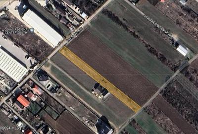 Afumati - Str. Iasomiei, 2409 MP, stradal, intravilan, deschidere 12 m - 7