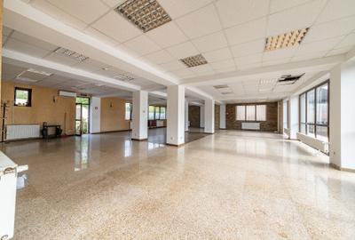 Clădire multifuncțională de închiriat, Mogoșoaia, Șos. București–Târgoviște - 37