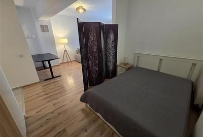 Studio spatios in Maurer Tractorul cu parcare si boxa - 10