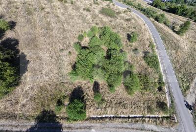 Teren agricol extravilan de 2200 mp, în Baciu