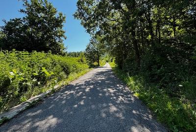 Teren doua loturi 3100 mp. - 2800 mp. Dăesti - Valcea - 2