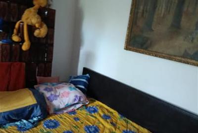 Casa confortabila aproape de Bucuresti - 5