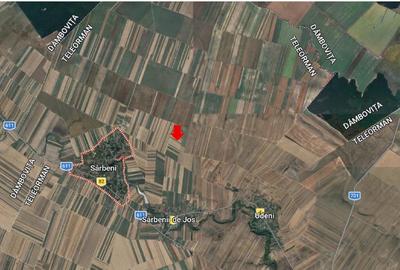 Teren agricol extravilan de 5000 mp, în Sârbeni