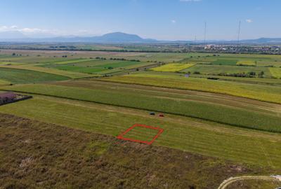 Teren intravilan, 590mp, Bod, lângă Brașov - 5