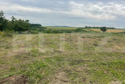 Teren Construcții intravilan de 500 mp, în Valea Ursului