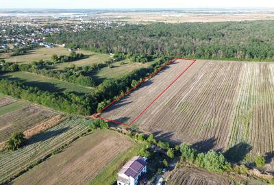 Teren pentru case la padure in Bolintin Deal. aces la 2 drumuri. - 5