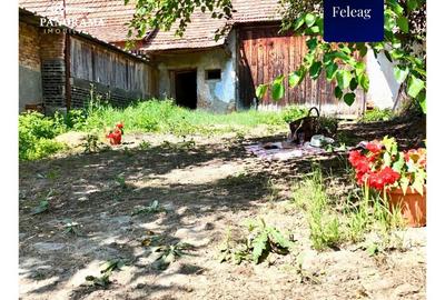 Casă tradițională de vânzare în Transilvania – gospodărie autentică - 13