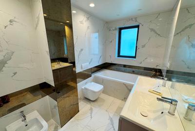 Penthouse tip duplex Dorobanti Capitale - 7
