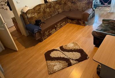 Ion Luca Caragiale apartament 2 camere mobilat - 3