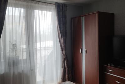 Proprietate deosebită Făget - 10