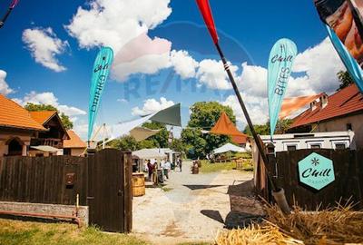 Oportunitate Business: Loturi Food Truck pe Transfăgărășan - 4