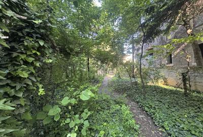Proprietate unica la Grădina Icoanei - 15