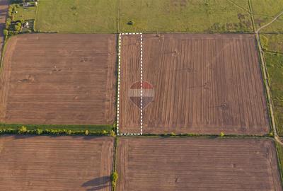 Teren agricol extravilan de 12500 mp, în Dumbrava