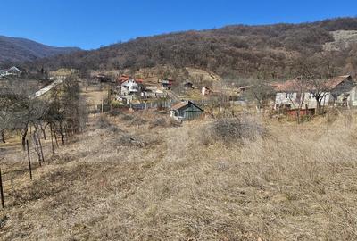 Teren Construcții intravilan de 1550 mp, în Cetate