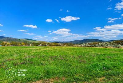 Teren agricol extravilan de 2504700 mp, în Șiștarovăț