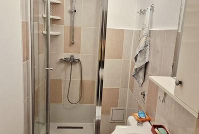 APARTAMENT 3 CAMERE DE INCHIRIAT |  RENOVAT |  GORJULUI - 9